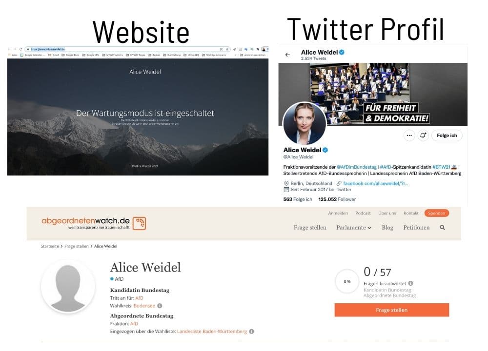 Alice Weidel Personal Branding Profil Website + Twitter Spitzenkandidatin zum Bundestag Doreen Ullrich Blog